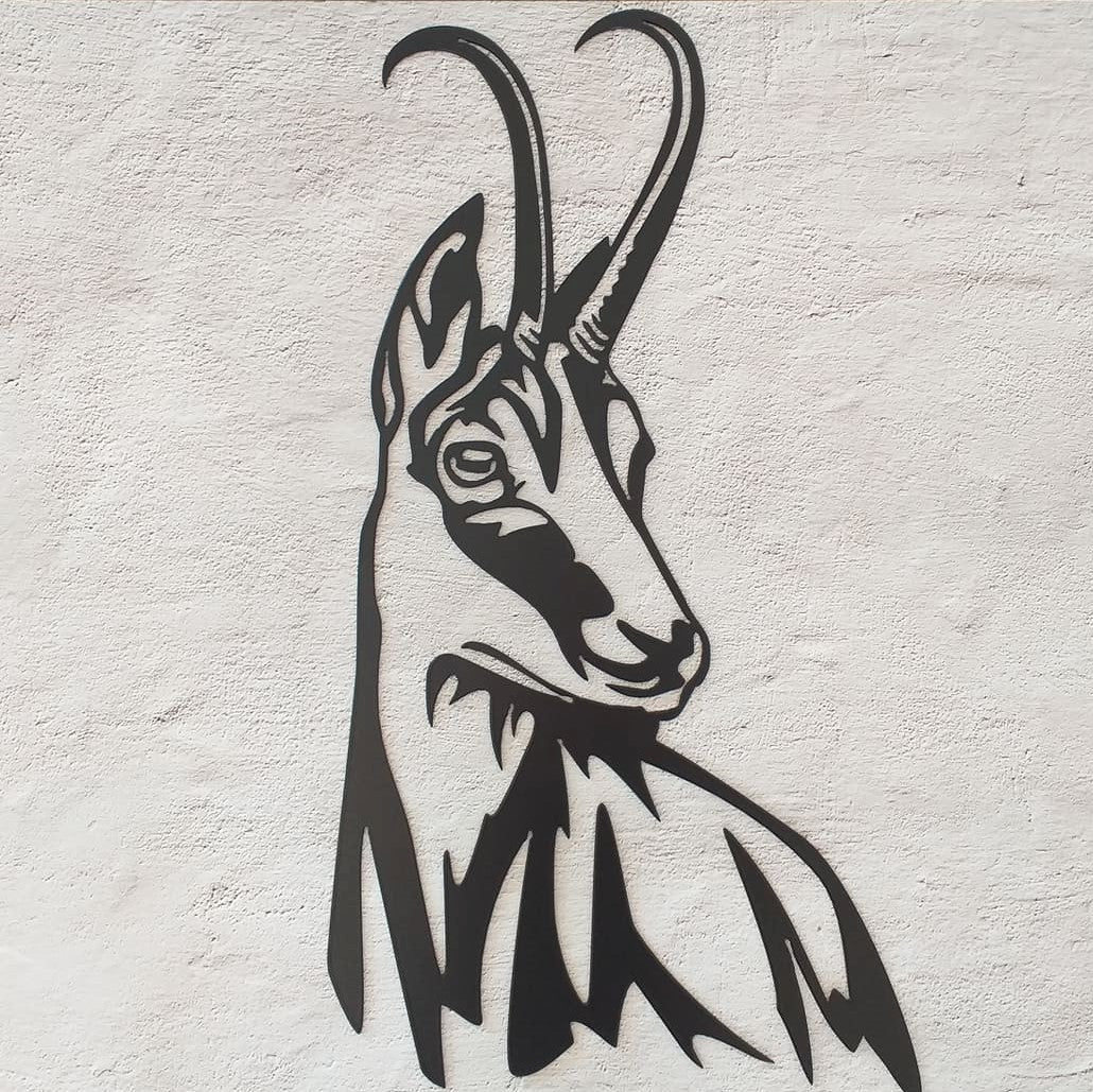Chamois