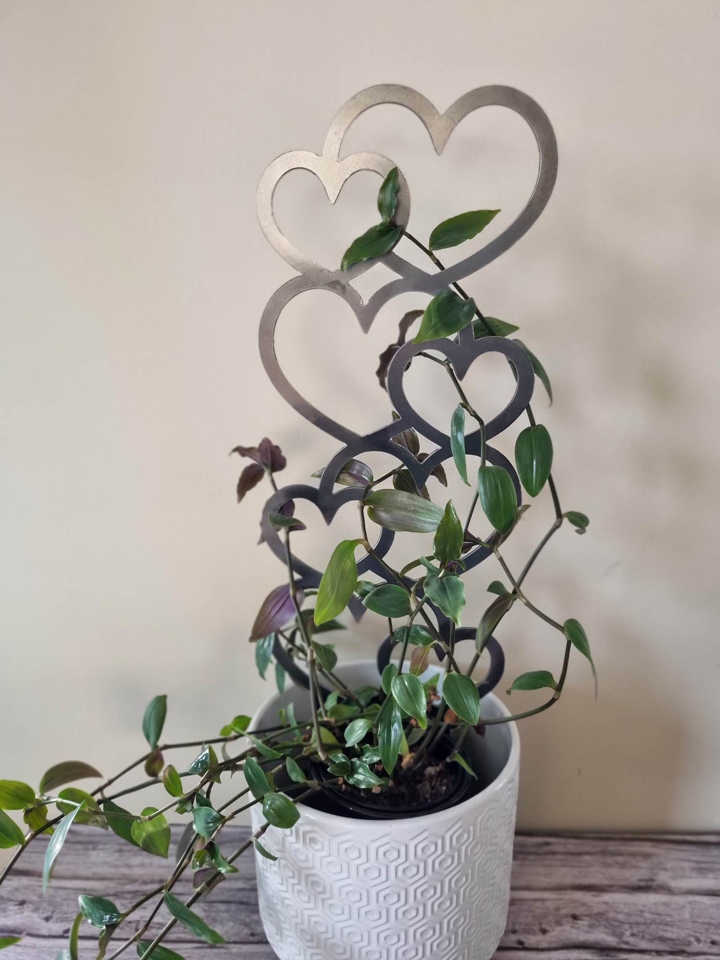 Heart Plant Trellis