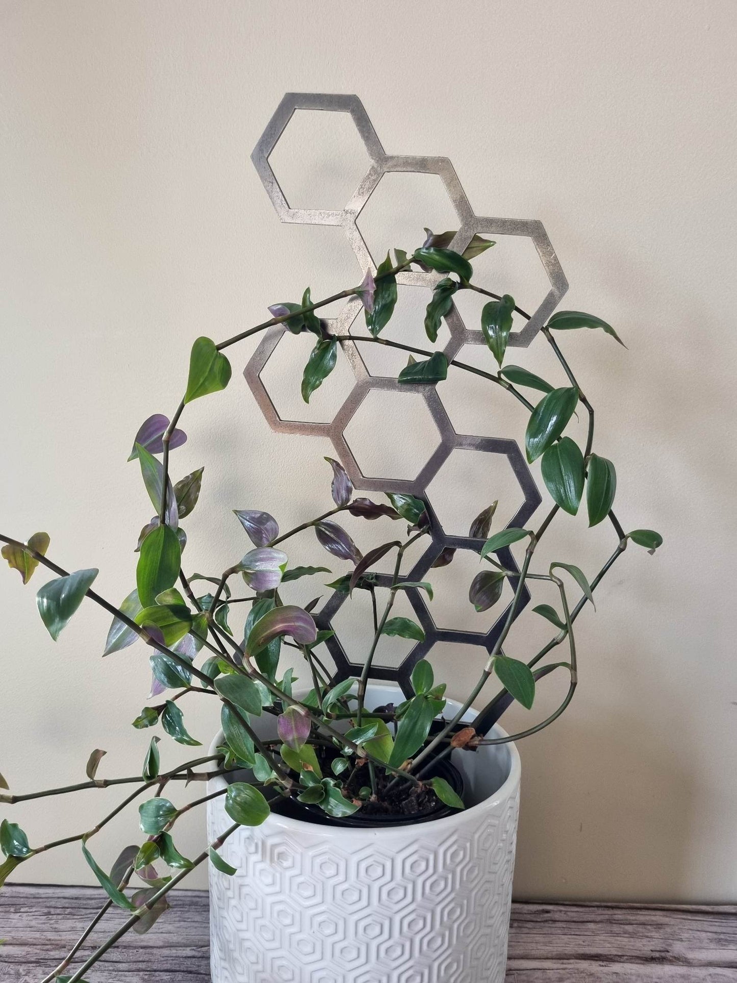 Honeycomb Plant Trellis