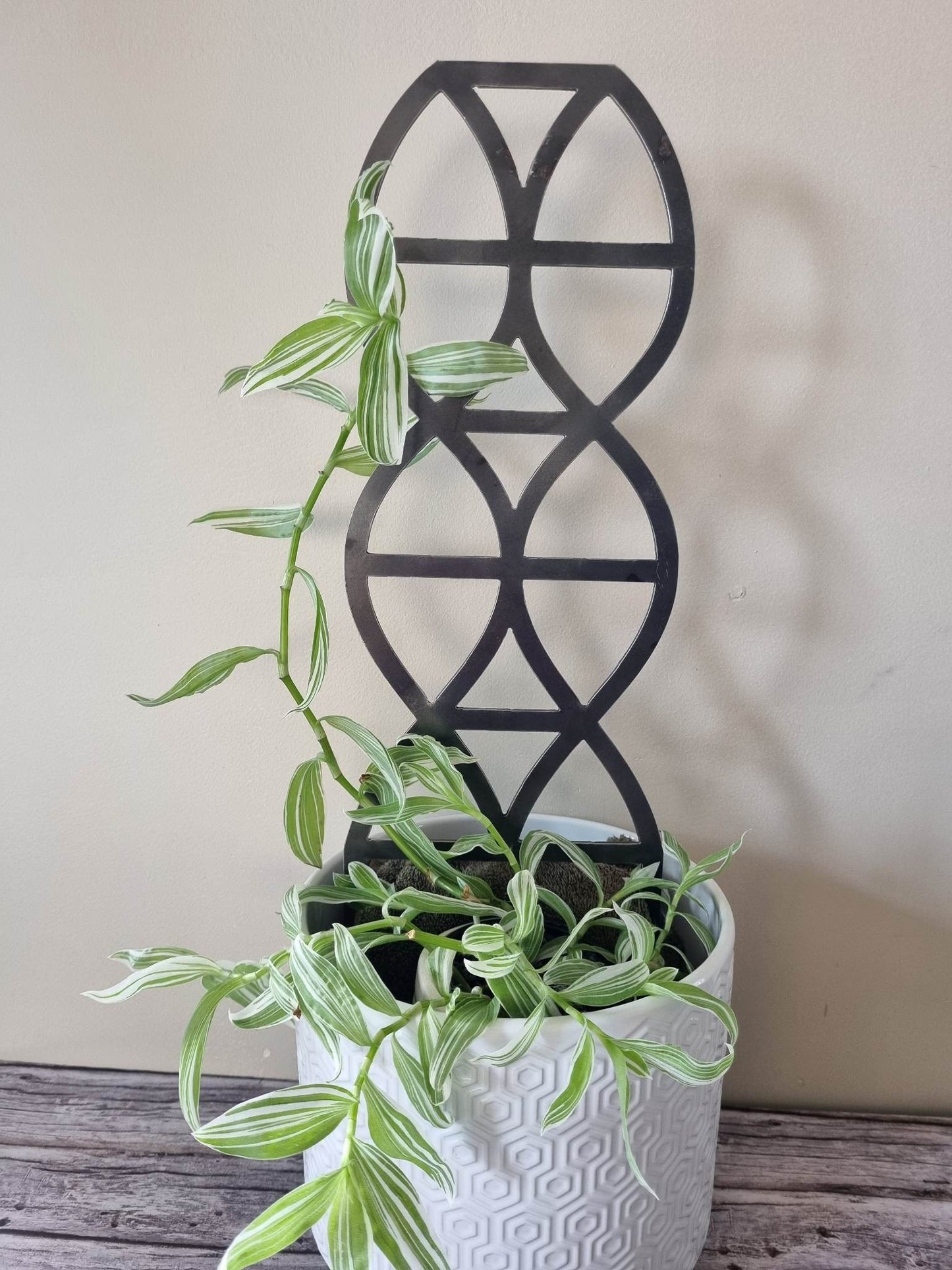 Curvy Plant Trellis